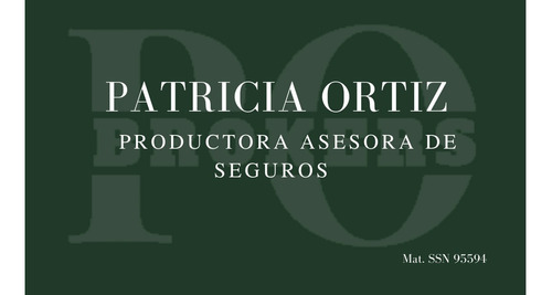 Productora Asesora De Seguros_ Po Brokers