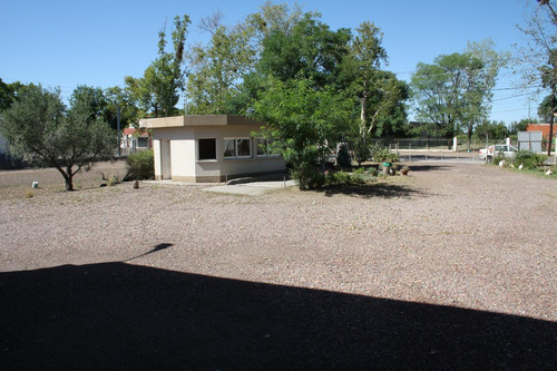 Bodega - Mendoza