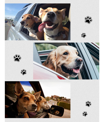 Forro Para Maletero De Coche Para Perros, Funda Para Asiento