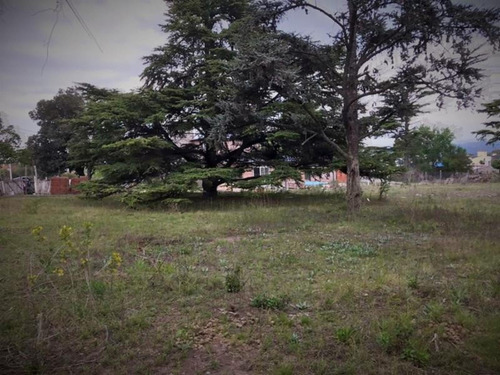 Imagen 1 de 22 de Lotes Con Escritura. Financiacin. B Residencial, La Falda