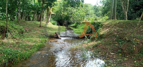 Chácara 30.000m² Com 01 Casa, 02 Tanques De Peixes, Em Morretes/pr. - Cha008 - 69008304