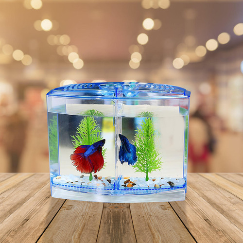Decoración Única Para Tanque De Cultivo De Camarones
