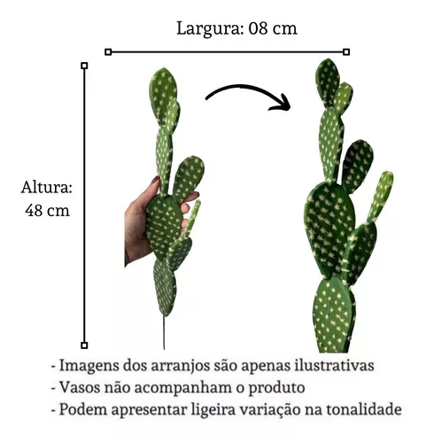 Planta de cacto em estilo realista