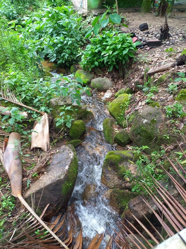 Imagem 4 de 14 de Sítio Completo Com Casa E Bar Lagos Com Peixe