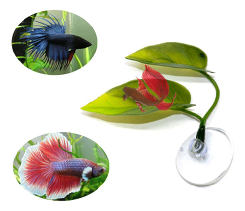 2 Hamacas Con Forma De Pez Beta Para Plantas, Hojas, Para Es
