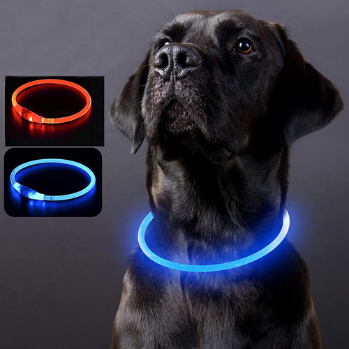 Collar De Perro Con Luz Led, Recargable Usb Corte Ajustable
