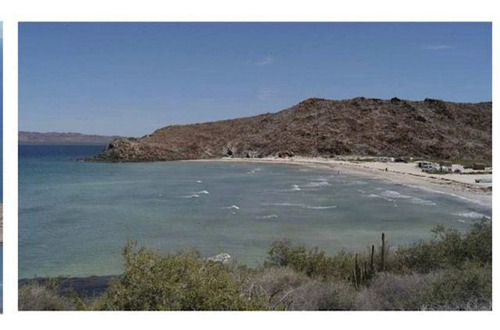 Imagen 1 de 6 de Terreno Venta Campestre Habitacional Los Cabos