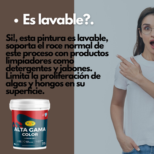 Pintura Premium Latex Alta Gama Color Marron Africano 10 Lt