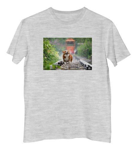 Remera Hombre Perros 8 Perro Silla Descanso Playa