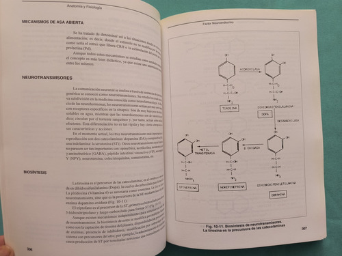 Infertilidad Esterilidad Y Endocrinología De La Reproducción (Usado)