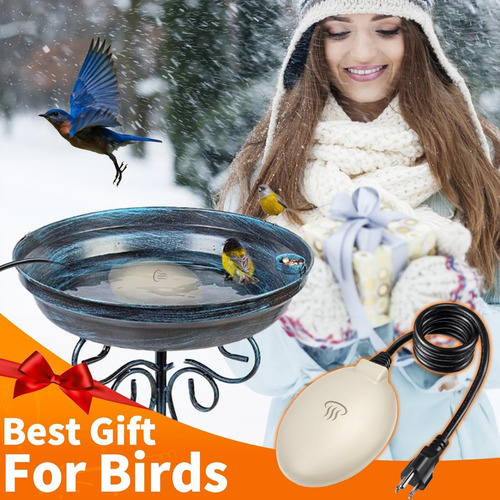 Bird Baths Calentador Para Exteriores Con Termostato Control