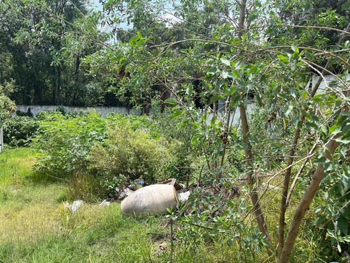 Terreno Venta, Col Lomas De Chapultepec