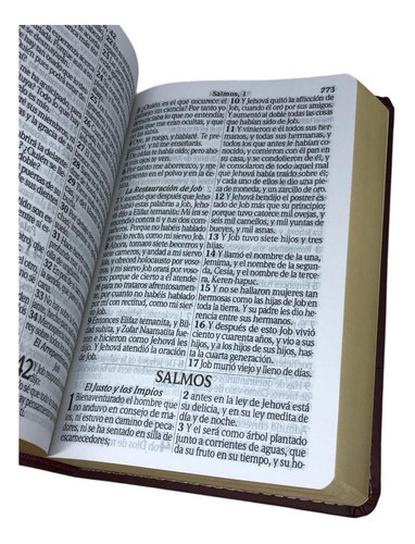 Bíblia Espanhol Rvt Bordo, De Reina Valera Tradicional. Editora Cpp, Capa Dura Em Espanhol, 2023