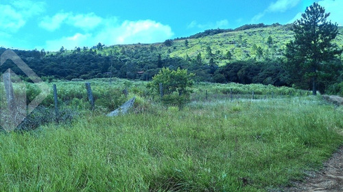 Imagem 2 de 3 de Terreno - Vila Nova - Ref: 216321 - V-216321