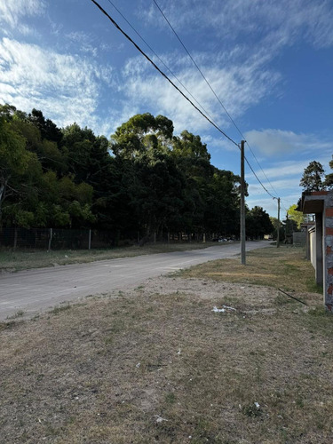 Terreno En Venta En San Bernardo Oportunidad