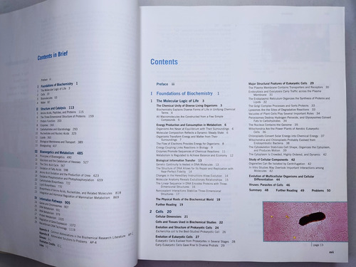 Libro Lehninger Principles Of Biochemistry 195k3 (Usado)