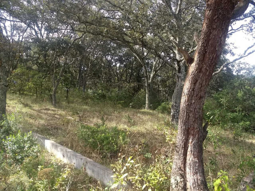 Imagen 4 de 4 de Terreno Ideal Para Casa De Campo