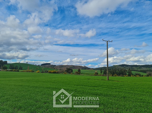 Campo 78 Ha En Traiguén Entre Rios