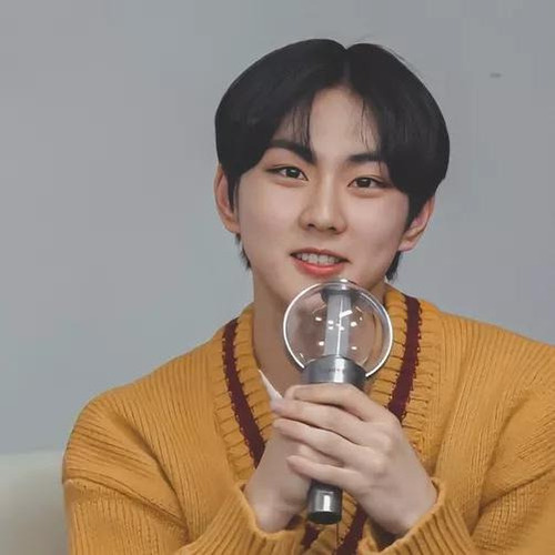 Lightstick De Enhypen, Luz Especial For El Concierto