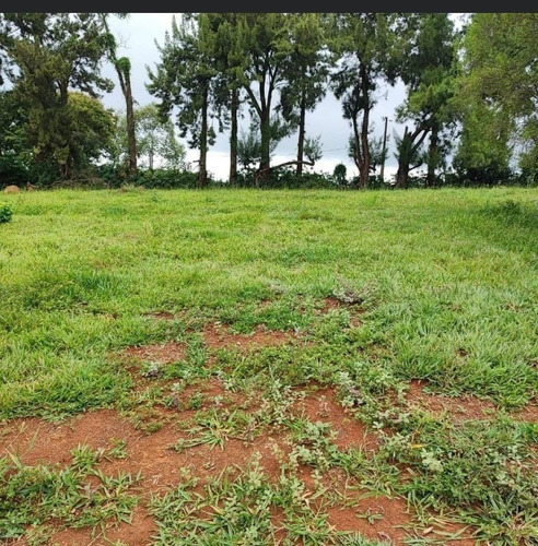 Imagem 3 de 7 de 06- Empreendiemento Fechado Com Lago E Pedalinho