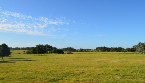 Venta De Chacra En José Ignacio, Maldonado.