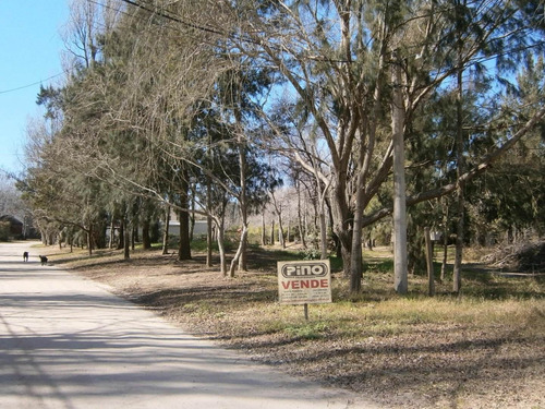Imagen 3 de 9 de Paseo Del Bosque Manzana 160 Lote 20