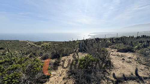 Sitios Exclusivos En Marina Del Arrayan