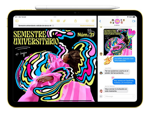 iPad Wi-fi + Cellular 256 gb (a16) - Color Plata