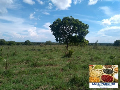 Fazenda À Venda Em Talismã - To - De 268 Alqueirões (dupla Aptodão) - 1580