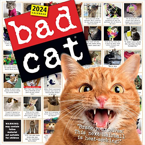 Calendario 2024 Para Colgar  Bad Cat Lindos Inadaptados 