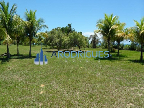 Imagem 15 de 20 de Ótimo Terreno À Venda Localizado Em Trancoso Todo Documentado E Levantamento Topográfico! - Te00126