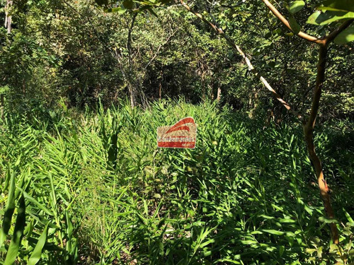 Chácara À Venda, Fazendinhas Amaro - Lagoa Santa/mg - 1393