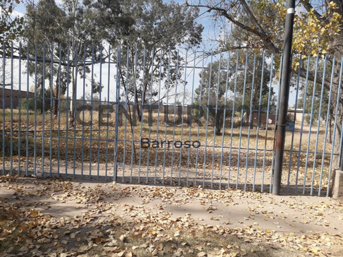 Imagen 5 de 5 de Alquiler Terreno En Acceso Sury Paso