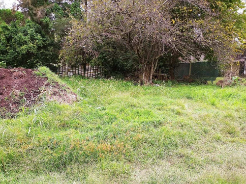 Imagen 7 de 10 de Lote En Venta En Villa Elisa Sobre 419 (arana