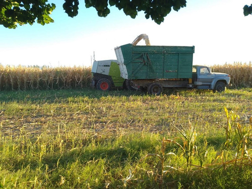 Imagen 8 de 8 de Campo - General Alvear