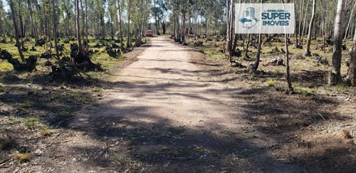 Chácara A Venda No Bairro Três Vendas Em Pelotas - Rs. - 1362-1