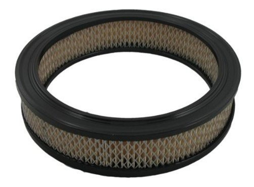 Filtro De Aire Pentius Pab3497 Para Nissan (74-92)