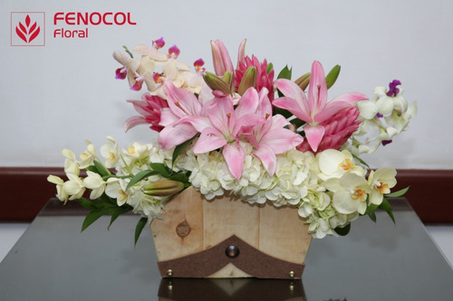 Imagen 2 de 2 de Espuma Floral Sabana - Caja Por 6 - Unidad a $2455