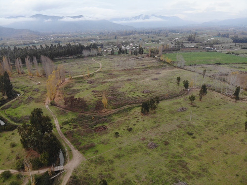 Venta De Campo En Rapel Id 51.271-cam