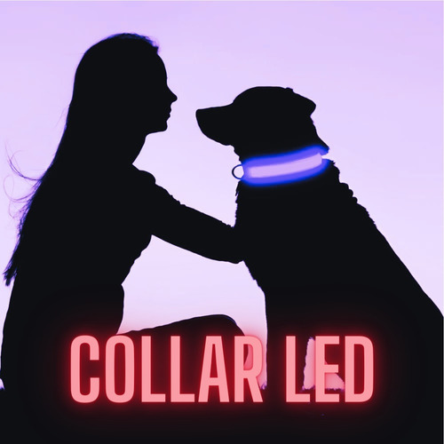 Collares Led Luminosos Para Mascotas Perros Y Gatos