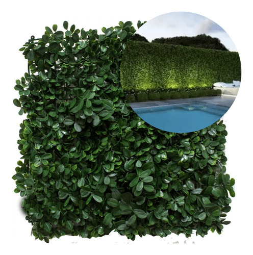 Follaje Artificial Sintetico Boxus Muro Barda 50x50cm 10 Pzs