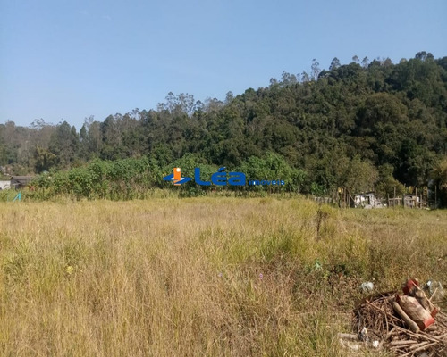 Imagem 6 de 10 de Area - Ar00032 - 71009313