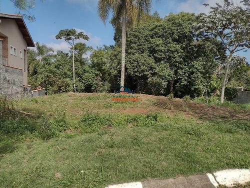 Imagem 5 de 9 de Terreno - Te00035 - 69551895