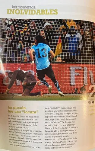 Mundial Celeste, Ovación 2010, Fútbol, 98 P, Cr06b1 (Usado)