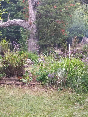 Terreno Lote En Venta En Lacar, Neuquén, Patagonia