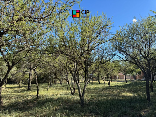 Venta De Lotes Sobre Ruta 1, Los Molles