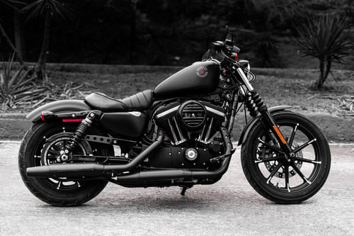 Harley Davidson Sportster Iron 883 2020