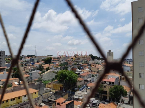 Imagem 14 de 29 de Lindo Apartamento, Fino Acabamento - 4749