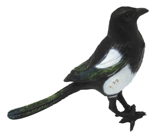 3 Simulação De Pássaro Pega, Figuras De Pássaros,