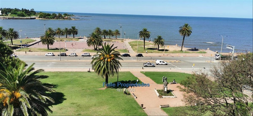 Imagen 1 de 14 de Parque Rodo Venta Con Renta Oficina 117m2 Con Vista Al Mar Cw182051